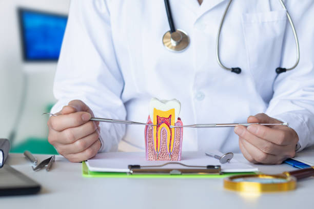 Best Chipped Tooth Repair Near Me  in Freeland, PA